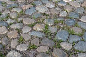 Paved Road Cobblestones Pavement