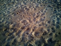 Sand Beach Treads Footprints