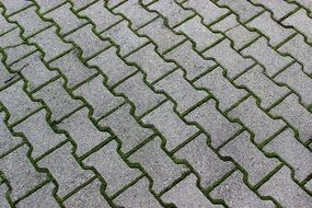 Pattern Grey Green Brick