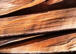 Wood Cut Wood Trunk Wood Pile