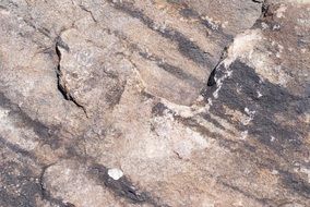 Rock Boulder Background Material