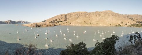 Lyttelton New Zealand Sea Bay