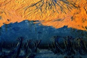 Sand Pattern Trees