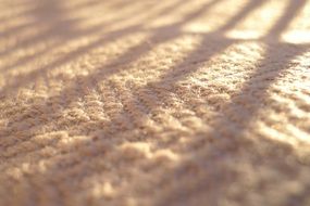 sunlight on the carpet