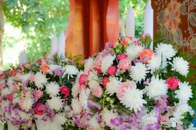 Spring Nature Flower Garden