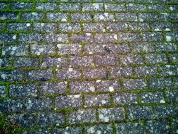 Texture Paving Stones Cobble