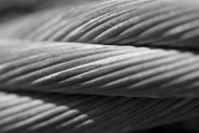 black and white photo of the rope
