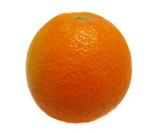 Orange Isolated White Background