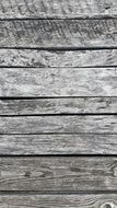 Wood Texture Paint Wall Color