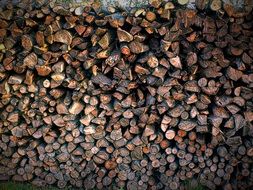 Wood Pile Wood Stacked Up