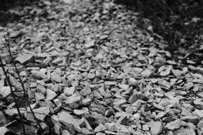 Chippings Stones Texture