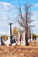 Graveyard Grave Tombstones