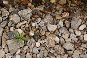 Gravel Leaf Pool Valley
