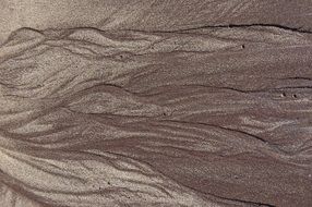 Background Texture Nature