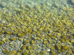 Lake Stones Pebble Water