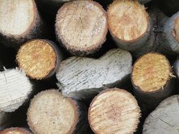 wood lumber on a pile