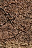 Texture Land Cracked