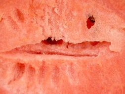 crack in the middle of the watermelon