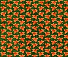 Background Wallpaper Flowers