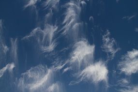 cirrus clouds in the summer blue sky
