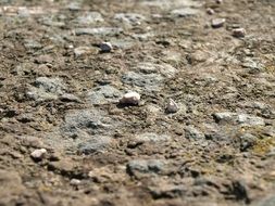 Stone Pebble Background Texture