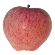 Apple Red Taustaton Tasty