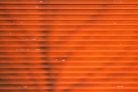 Shadow Wall Bright Colorful