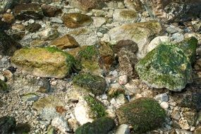 green stone on the ground