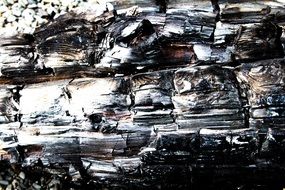 Burned Wood Driftwood Coal