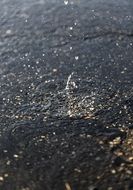 water explosion on earth