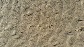 Sand Beach Background Dune