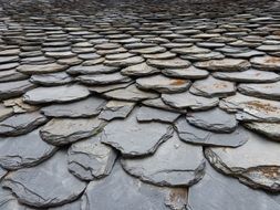 Roof Slate Shingles
