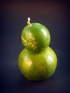 double lime on a dark background