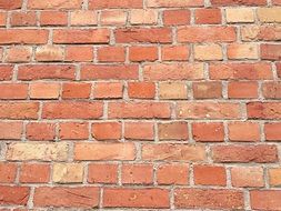 Wall Bricks Brick Wall