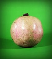 asian pear