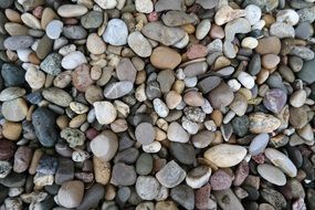 small pebbles of different colors