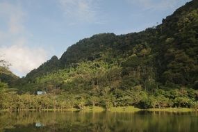 Forest Landscape Forest Landscape