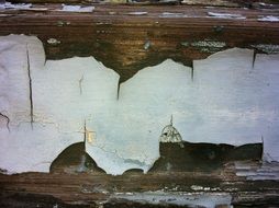 Texture Paint Peel Distressed