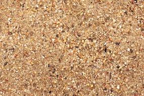 Texture Background Pebble