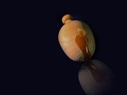 Wood Ball Wooden Ball Pomander