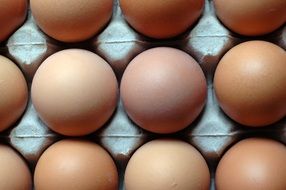 Eggs Pattern Food Nutrition
