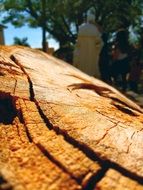 Carmo Wood Texture