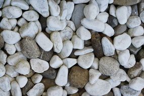 gray pebbles on the background