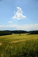 Field Cloud Landscape View