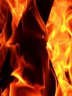 Fire Flame Burn Wood Fire Hot