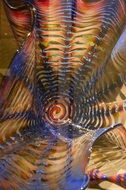 Glass Art Abstract Decoration