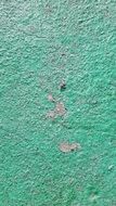 green concrete wall