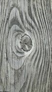 Wood Node Texture Plant Door