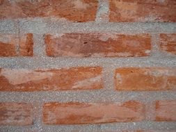 bricks on the wall close up