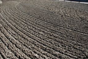 Background Texture Sand Grey